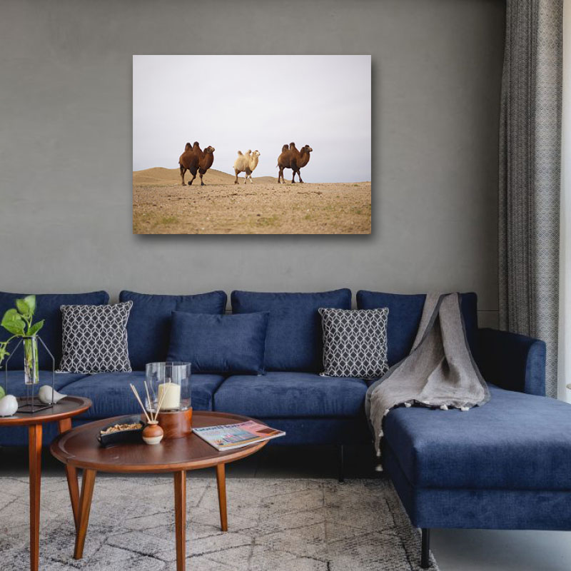 Πίνακας σε καμβά Καμήλες στην έρημο